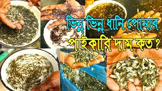 ভিন্ন ভিন্ন সব ধানি মাছের পাইকারি দাম দর নিয়ে আজকের পর্ব।চিতল-কার্ফু-বাটা-রুই-গ্লাস কার্প-ব্লাককার্প