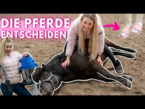 KEINE KONTROLLE - Die Ponys entscheiden Part ll