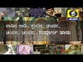 Nadina Nadi Chandana Full Song DD Chandana Theme Song ನಾಡಿನ ನಾಡಿ ಸ್ಪಂದ�