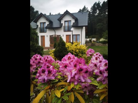 Cztery pory roku - Apartamenty, domki, pokoje #shorts