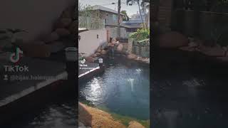 Download lagu selamat pagi dunia.. kolam sungai sebening kaca mp3