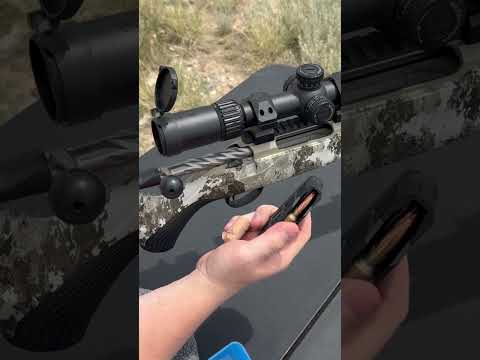 Big Game Field Testing! Hornady's ELD-X Bullet (Review)