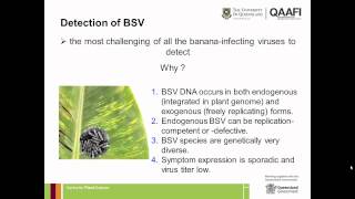 Ensuring the 'bent bananas' are rejected by applying novel virus diagnostic strategies