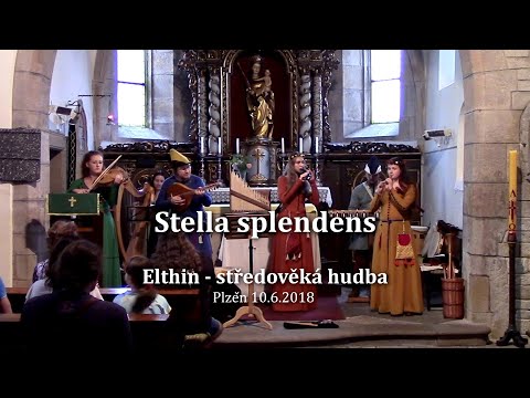 𝕰𝖑𝖙𝖍𝖎𝖓 - Stella splendens