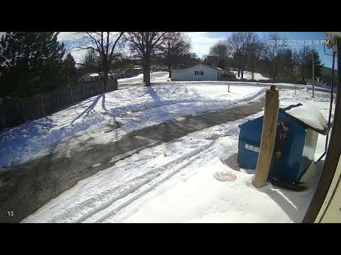 Public Urination 2-6-2022