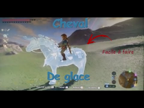 ZELDA - COMMENT AVOIR UN CHEVAL DE GLACE