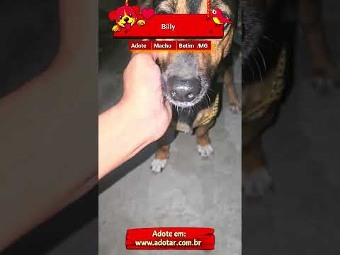 Vídeo de Billy