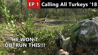 HE RAN RIGHT BY US!!! - Osceola Public Land Turkey Hunt - Calling All Turkeys