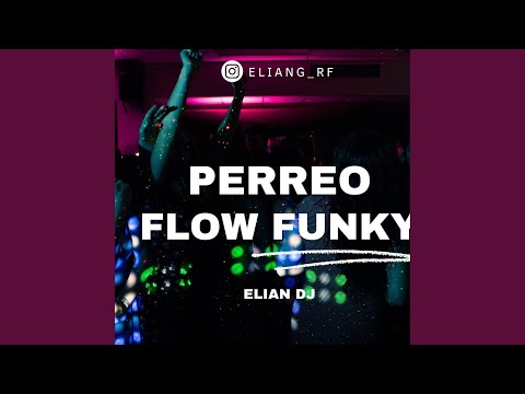 PERREO FLOW FUNKY