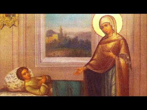 Colaj de pricesne - Radu Cimpoi