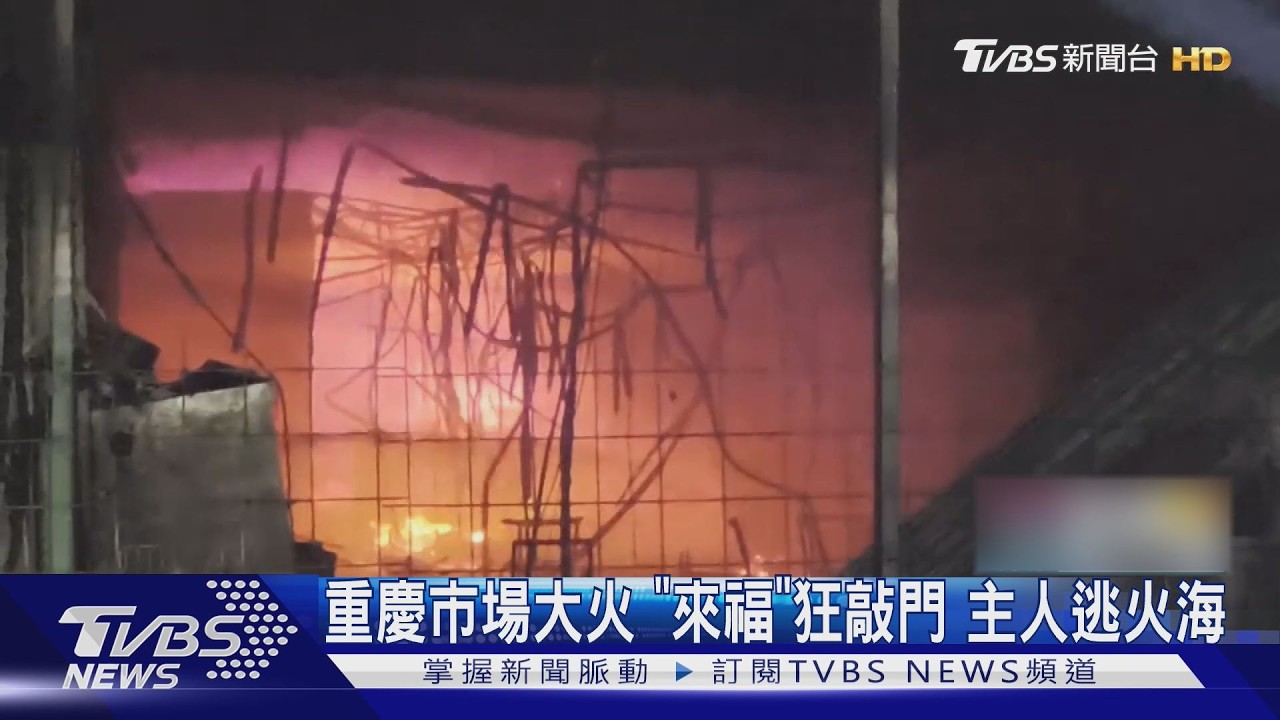 凌晨火燒鐵皮屋!狗狗「來福」敲門救主 折返火場一度失蹤