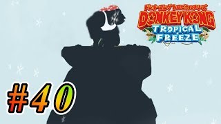 勢い余っちゃった系  #40【ドンキーコングトロピカルフリーズ実況】