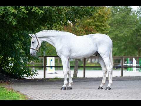 Maserati Quality CARTHAGO x CORIANO - Video 9 video thumbnail