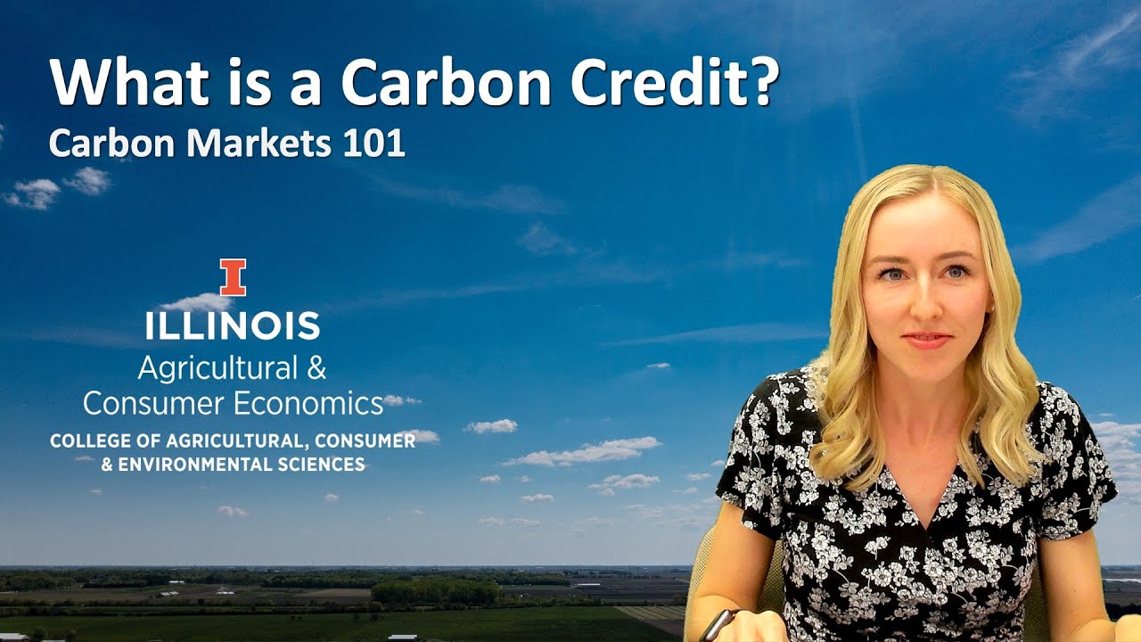 What is a Carbon Credit?