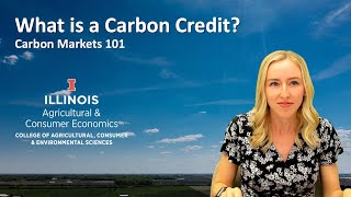 What is a Carbon Credit?