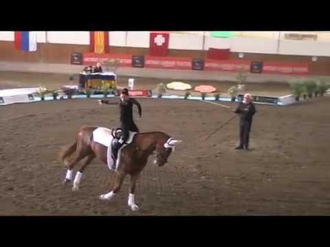 CVI Portogruaro 2018 - Ind J 2** Silvia Damasco - Libero