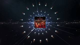 Chris Hein - Ensemble Strings 