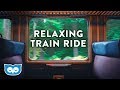 Train Ride Ambience Ambient White Noise For Sleeping Focus Studying Reading