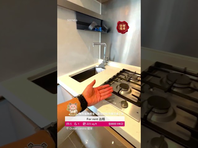 緹岸 屯門 高層 S007456 售盤