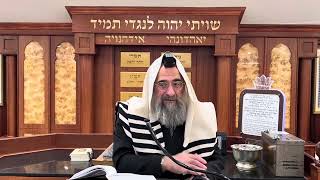 מה מברכים על פירות מרוסקים – ומה מברכים על פלאפל? (הרב יצחק ישראלי) - התמונה מוצגת ישירות מתוך אתר האינטרנט יוטיוב. זכויות היוצרים בתמונה שייכות ליוצרה. קישור קרדיט למקור התוכן נמצא בתוך דף הסרטון
