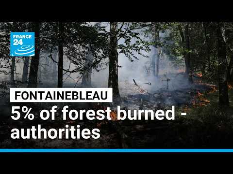 Fontainebleau fire has decimated 5% of the forest, authorities say