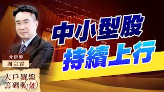 中小型股持續上行｜大戶羅盤籌碼動能 ｜謝宗霖 (圖)