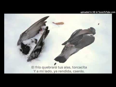 Today's Tango Is... La Torcacita - Juan D'Arienzo 16-09-1971