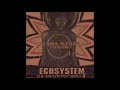 DJ Soul Slinger - Ecosystem The Brazilian Joint