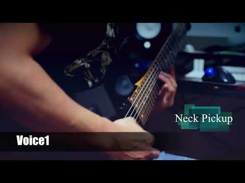 Fishman fluence modern 7-string pickup (Voice1/Voice2 Comparison )