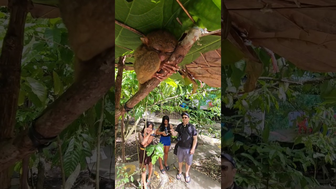 YouTube Short thumbnail