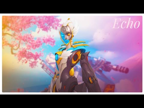echo | hot n cold | overwatch montage