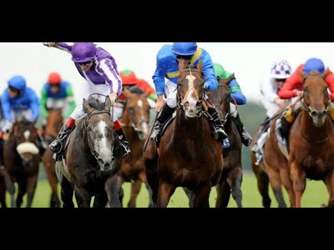 Sun Met 2020 Final Field and Odds - World Sports Betting