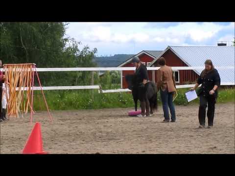 Kuortane Agility 2013