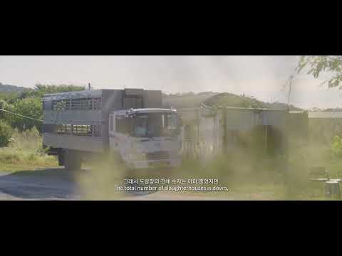 집에 살던 새는 모두 어디로 갔을까 The Birds Who Lived Home - Where Did You All Go? | 김화용 | The 26th JEONJU IFF 예고편