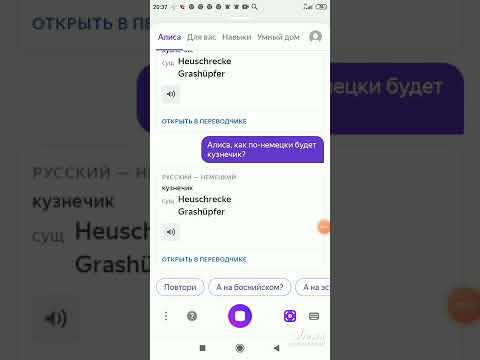 Алиса как по немецки будет кузнечик?