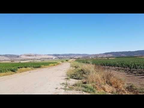 Israel Asoulin - Mini Diamond