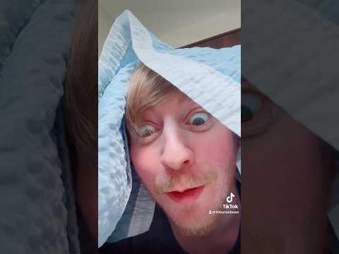 猫は人間をどう見ているか