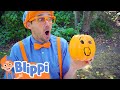 Blippi Visits The Pumpkin Park Halloween Learning Videos For Kids Education Show For Toddlers