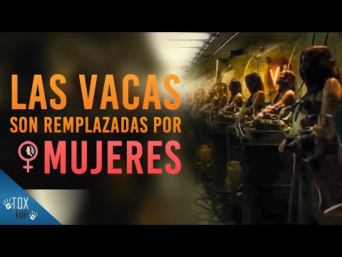 WOMEN ARE MILKED ON THIS FARM || THE FARM 2021 || 4-MINUTE SUMMARY