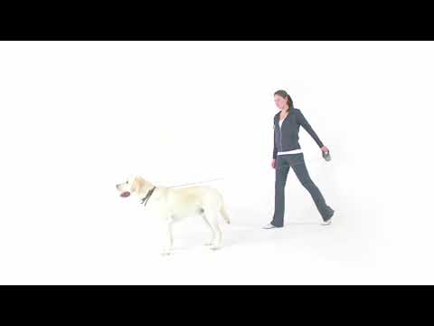 flexi how to use your flexi leash
