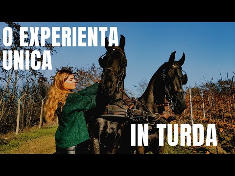 City break in TURDA? Ne-am cazat la Sarea-n bucate! Ce poti face un weekend aici ?