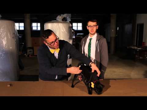 Behind the Scenes - Raw Rutes