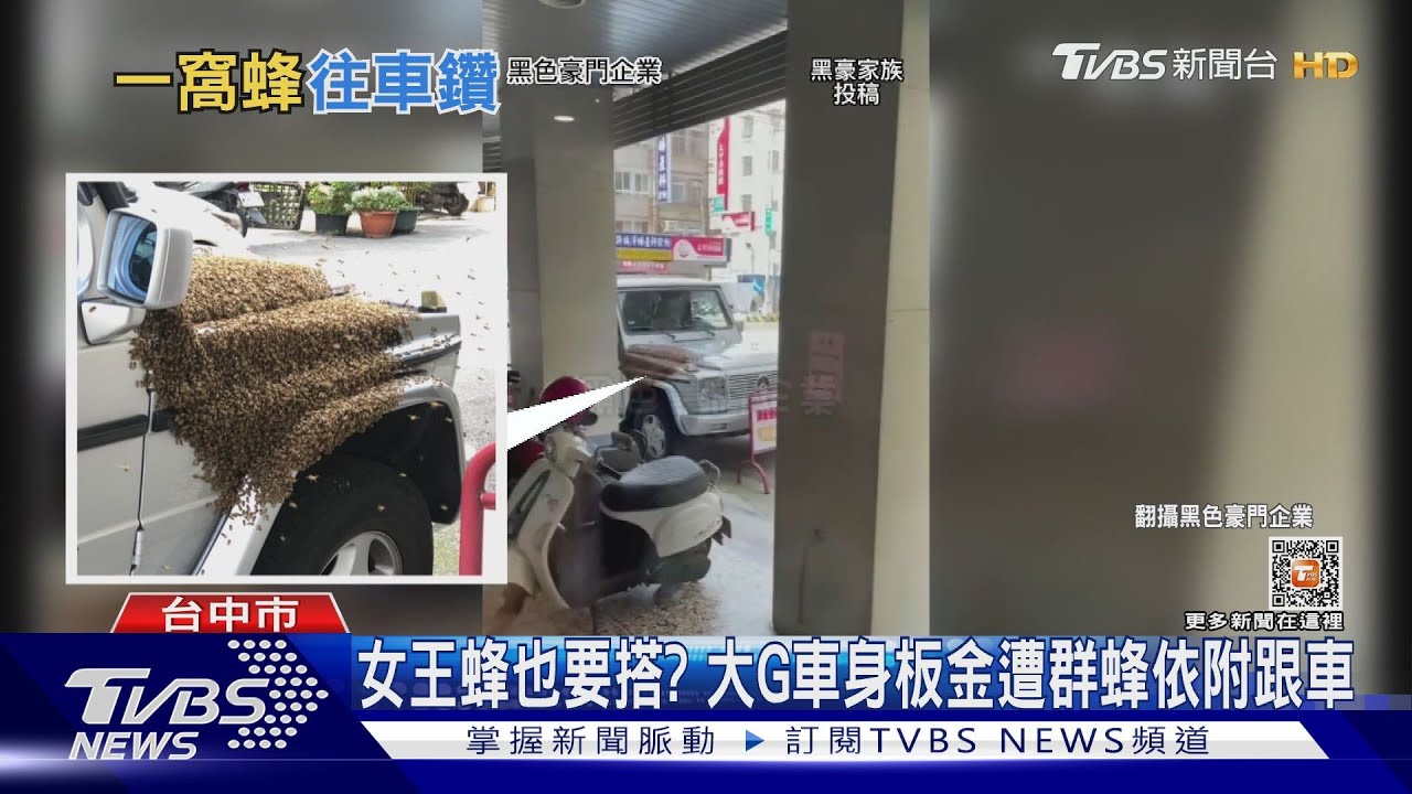 女王蜂也要搭! 大G車身板金遭群蜂依附跟車
