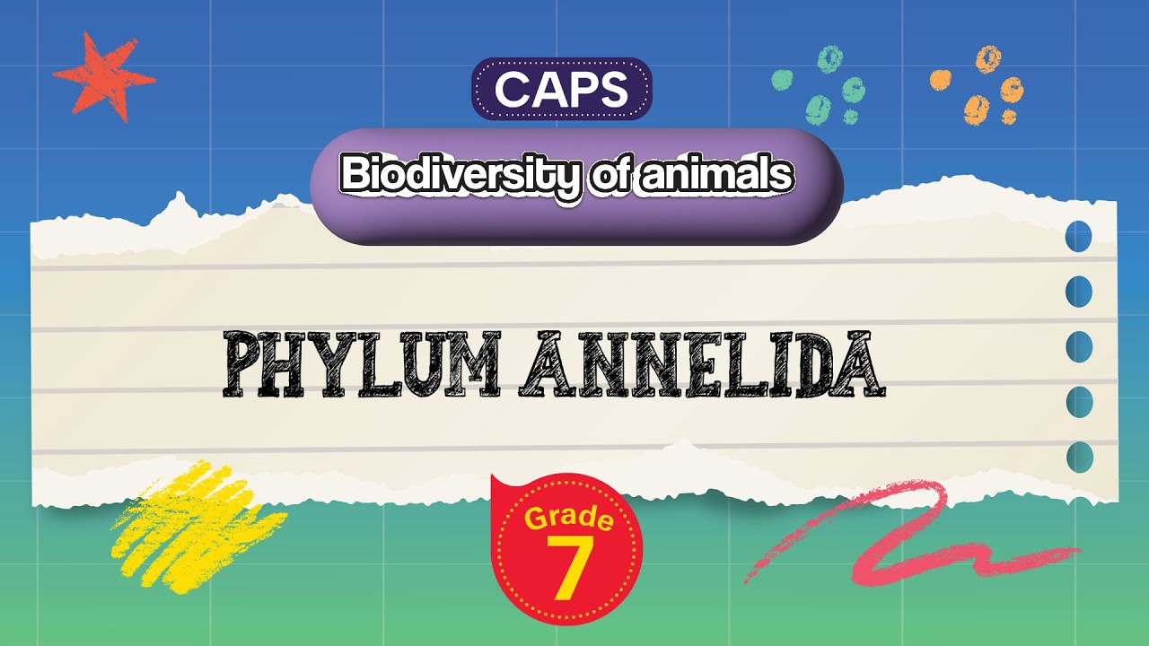 [GRADE 7] Phylum Annelida
