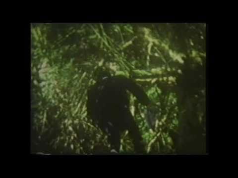 The Very Things 'The Bushes Scream While My Daddy Prunes' (1985)