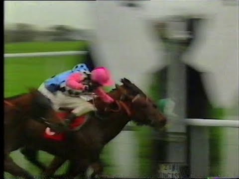 Doncaster October 1992 Lester Piggott Thamestar