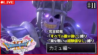 【ドラクエ11s】11) やっと去年やった所まで戻って来たぞ！魔王誕生から！！ ※初見なのでネタバレ注意