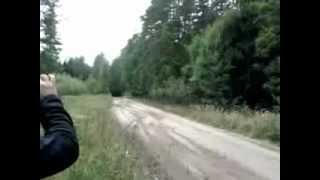 Radek Typa - TESTY / Runowo.