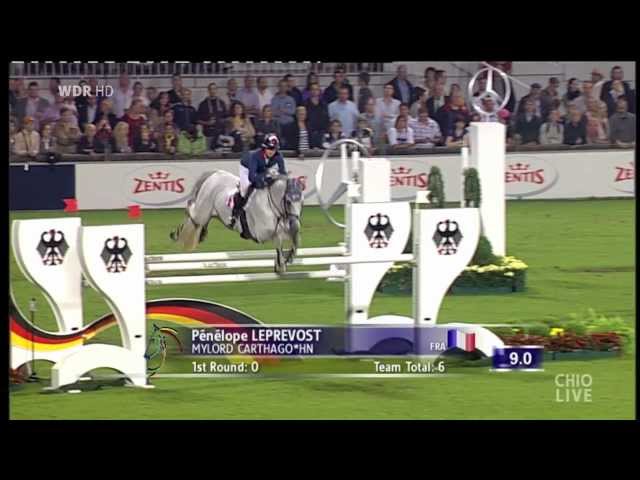 Father of this Embryo is the CSI 1.60m Stallion Mylord Carthago with rider Penelope Leprevost.