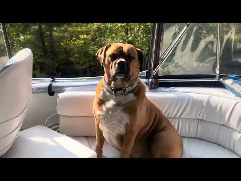 Day 2! Kirkfield to Bobcaygeon. Nice easy ride and 2 locks, Rosedale and Fenelon Falls.